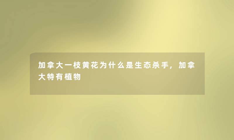 加拿大一枝黄花为什么是生态杀手,加拿大特有植物 加拿大一枝黄花为什么是生态杀手,加拿大特有植物
