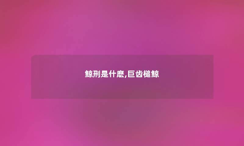 鲸刑是什麽,巨齿槌鲸 鲸刑是什麽,巨齿槌鲸