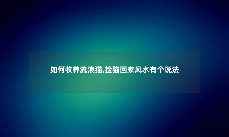 如何收养流浪猫,捡猫回家风水有个说法 如何收养流浪猫,捡猫回家风水有个说法