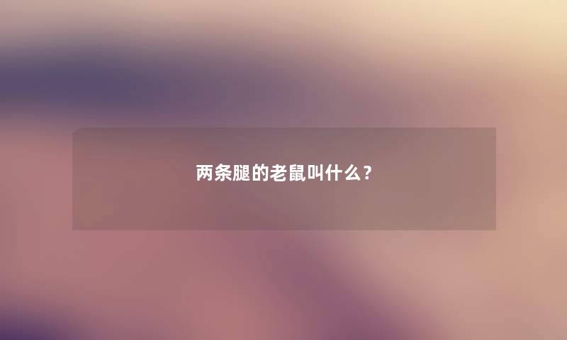 两条腿的老鼠叫什么? 两条腿的老鼠叫什么?