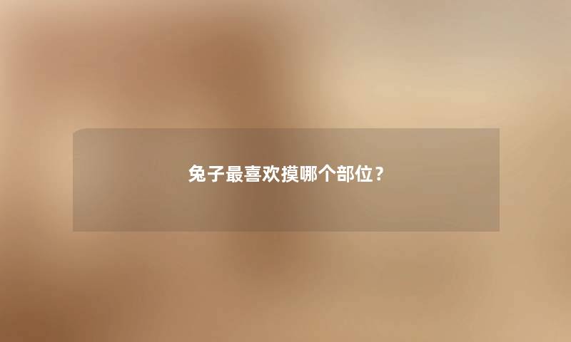 兔子喜欢摸哪个部位? 兔子喜欢摸哪个部位?