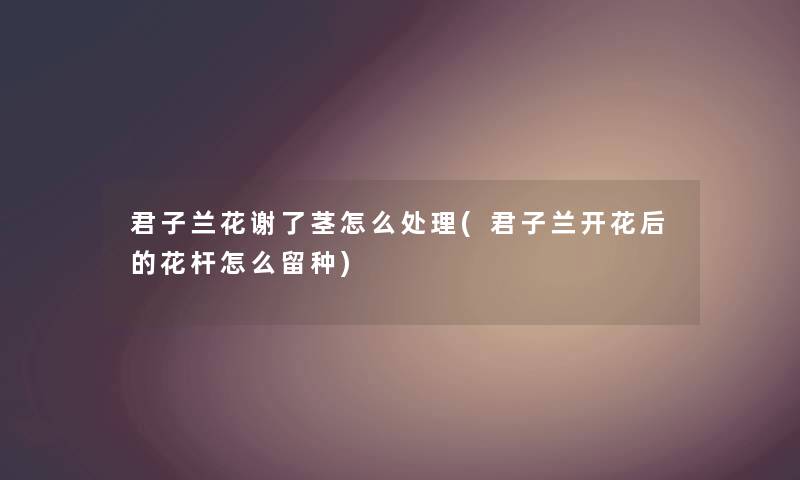 君子兰花谢了茎怎么处理(君子兰开花后的花杆怎么留种) 君子兰花谢了茎怎么处理(君子兰开花后的花杆怎么留种)