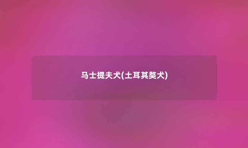 马士提夫犬(土耳其獒犬) 马士提夫犬(土耳其獒犬)