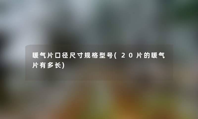 暖气片口径尺寸规格型号(20片的暖气片有多长) 暖气片口径尺寸规格型号(20片的暖气片有多长)