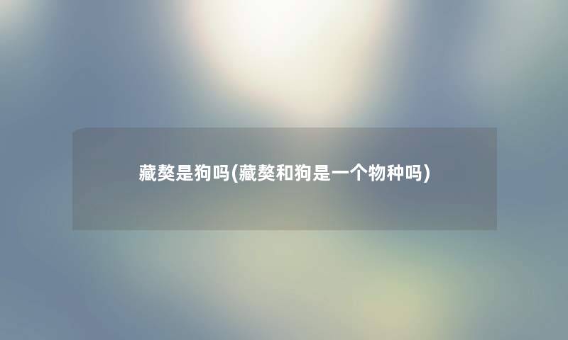 藏獒是狗吗(藏獒和狗是一个物种吗) 藏獒是狗吗(藏獒和狗是一个物种吗)