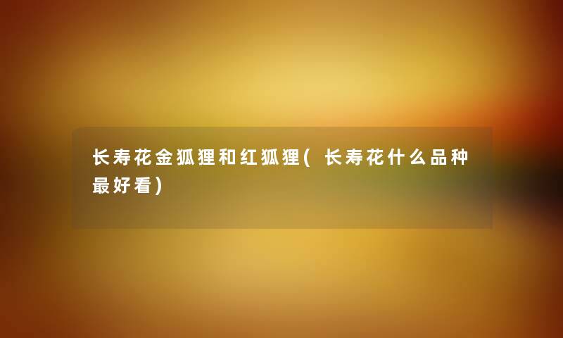 长寿花金狐狸和红狐狸(长寿花什么品种好看) 长寿花金狐狸和红狐狸(长寿花什么品种好看)