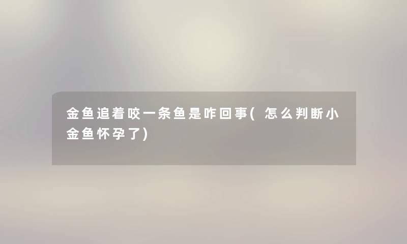 金鱼追着咬一条鱼是咋回事(怎么判断小金鱼怀孕了) 金鱼追着咬一条鱼是咋回事(怎么判断小金鱼怀孕了)