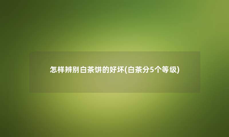 怎样辨别白茶饼的好坏(白茶分5个等级) 怎样辨别白茶饼的好坏(白茶分5个等级)