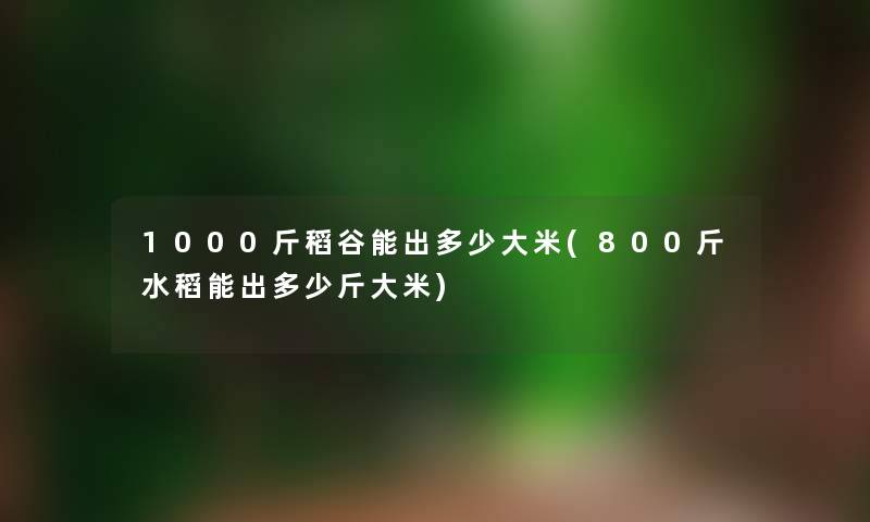 1000斤稻谷能出多少大米(800斤水稻能出多少斤大米) 1000斤稻谷能出多少大米(800斤水稻能出多少斤大米)