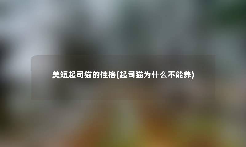 美短起司猫的性格(起司猫为什么不能养) 美短起司猫的性格(起司猫为什么不能养)