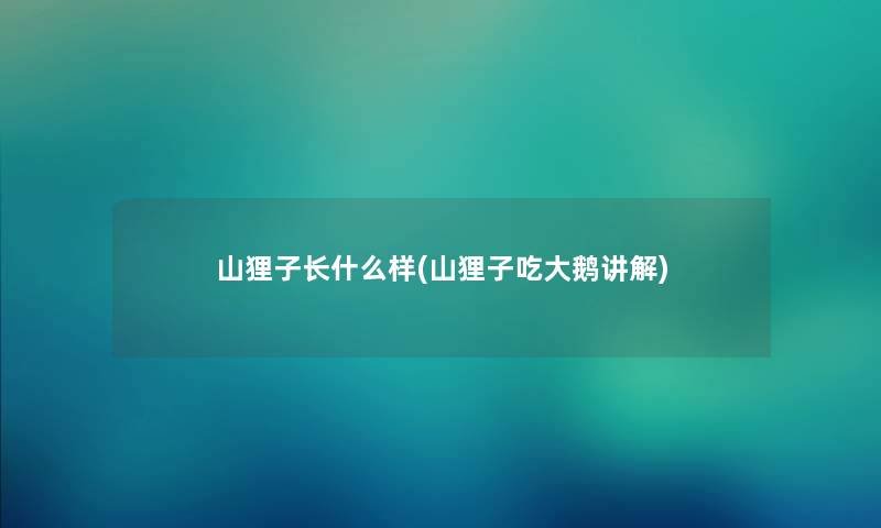 山狸子长什么样(山狸子吃大鹅讲解) 山狸子长什么样(山狸子吃大鹅讲解)