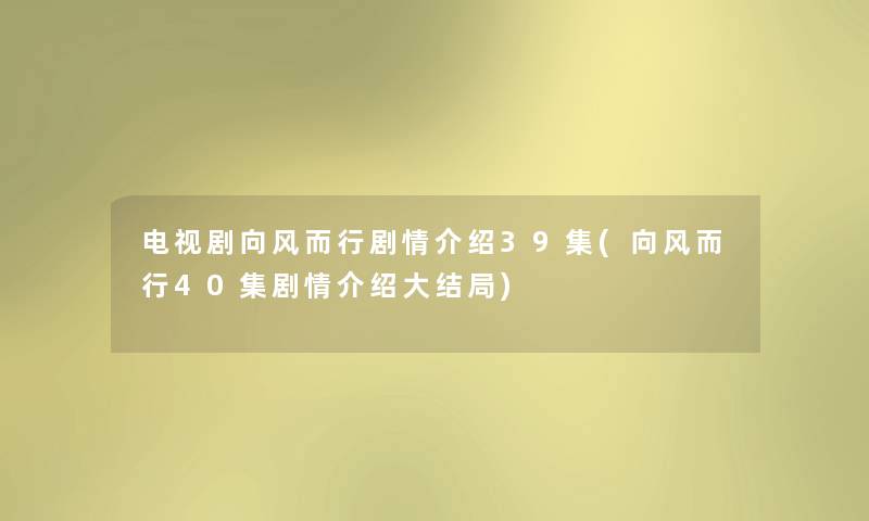 电视剧向风而行剧情介绍39集(向风而行40集剧情介绍大结局) 电视剧向风而行剧情介绍39集(向风而行40集剧情介绍大结局)