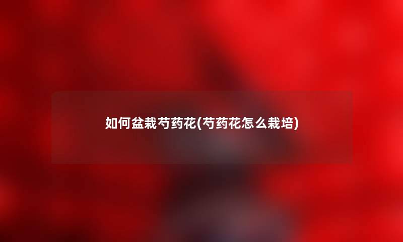 如何盆栽芍药花(芍药花怎么栽培) 如何盆栽芍药花(芍药花怎么栽培)
