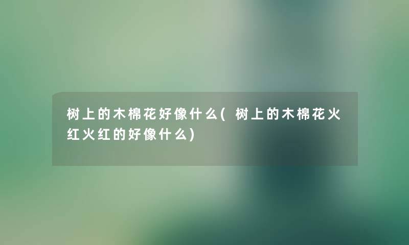 树上的木棉花好像什么(树上的木棉花火红火红的好像什么)