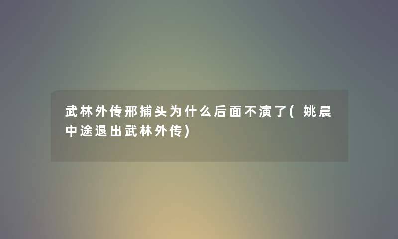武林外传邢捕头为什么后面不演了(姚晨中途退出武林外传)