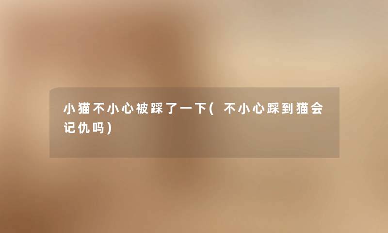 小猫不小心被踩了一下(不小心踩到猫会记仇吗) 小猫不小心被踩了一下(不小心踩到猫会记仇吗)