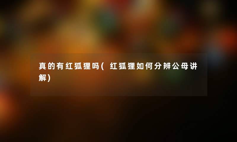 真的有红狐狸吗(红狐狸如何分辨公母讲解) 真的有红狐狸吗(红狐狸如何分辨公母讲解)