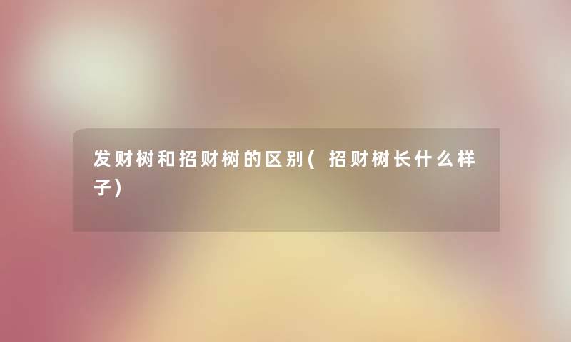 发财树和招财树的区别(招财树长什么样子) 发财树和招财树的区别(招财树长什么样子)
