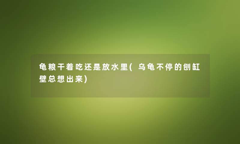 龟粮干着吃还是放水里(乌龟不停的刨缸壁总想出来)