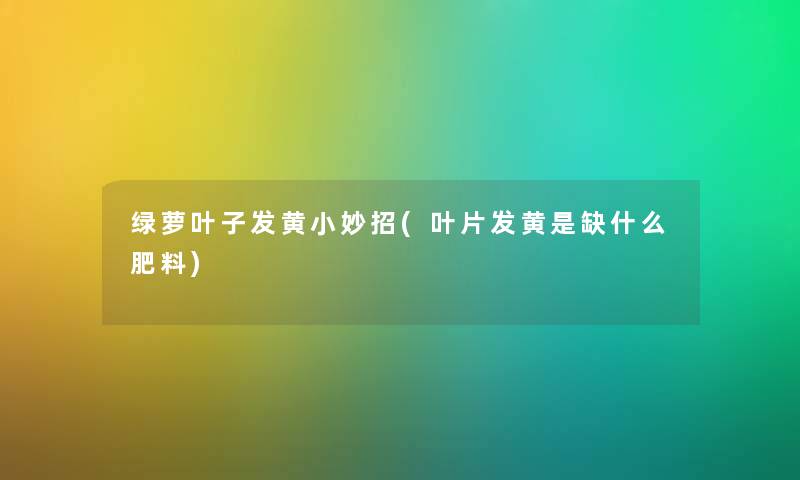 绿萝叶子发黄小妙招(叶片发黄是缺什么肥料)