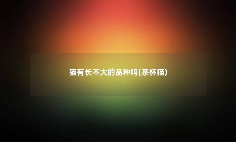 猫有长不大的品种吗(茶杯猫)