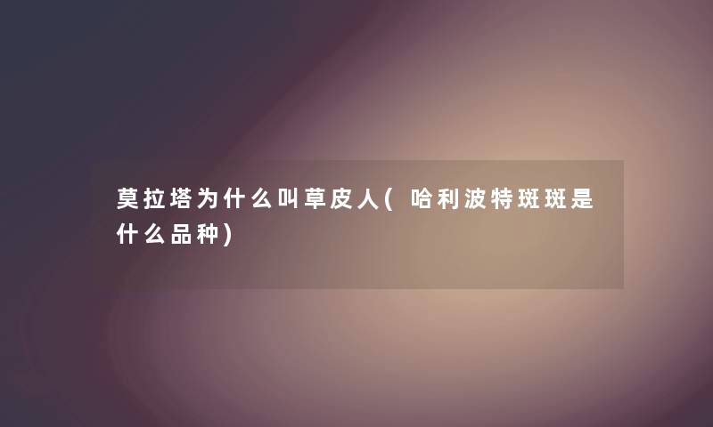 莫拉塔为什么叫草皮人(哈利波特斑斑是什么品种) 莫拉塔为什么叫草皮人(哈利波特斑斑是什么品种)