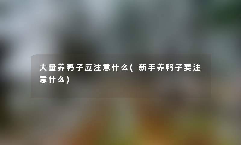 大量养鸭子应什么(新手养鸭子要什么) 大量养鸭子应什么(新手养鸭子要什么)