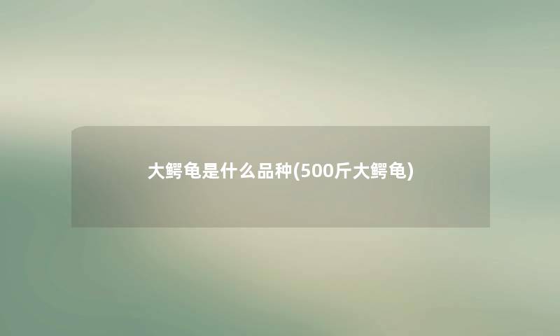 大鳄龟是什么品种(500斤大鳄龟) 大鳄龟是什么品种(500斤大鳄龟)