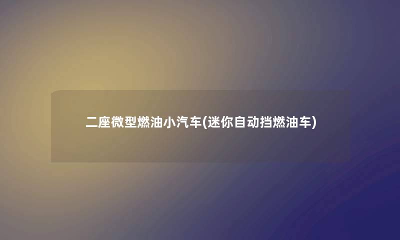 二座微型燃油小汽车(迷你自动挡燃油车)