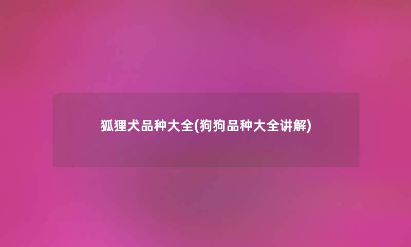 狐狸犬品种大全(狗狗品种大全讲解) 狐狸犬品种大全(狗狗品种大全讲解)