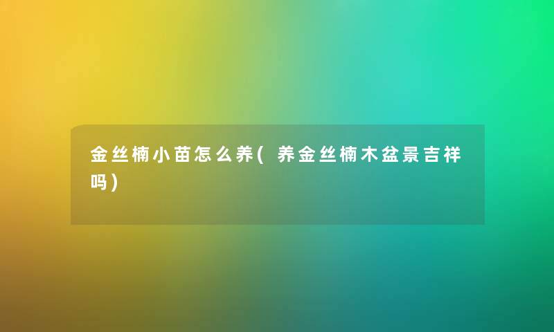 金丝楠小苗怎么养(养金丝楠木盆景吉祥吗)
