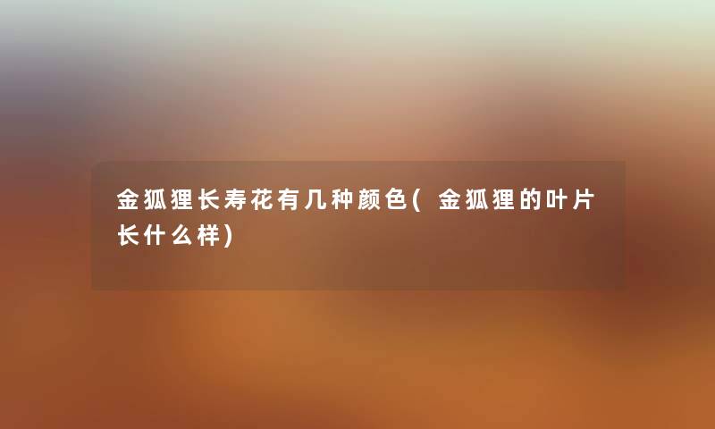 金狐狸长寿花有几种颜色(金狐狸的叶片长什么样)