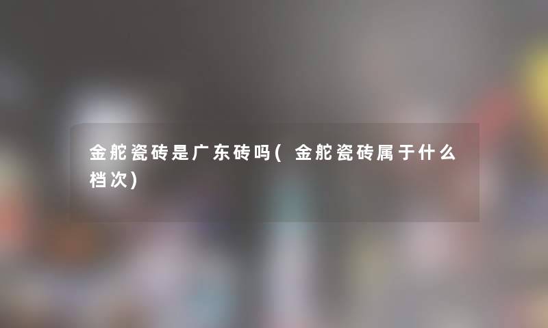 金舵瓷砖是广东砖吗(金舵瓷砖属于什么档次)