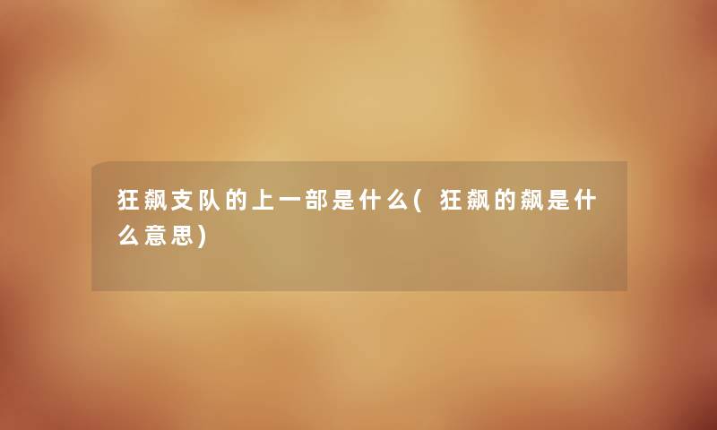 狂飙支队的上一部是什么(狂飙的飙是什么意思)