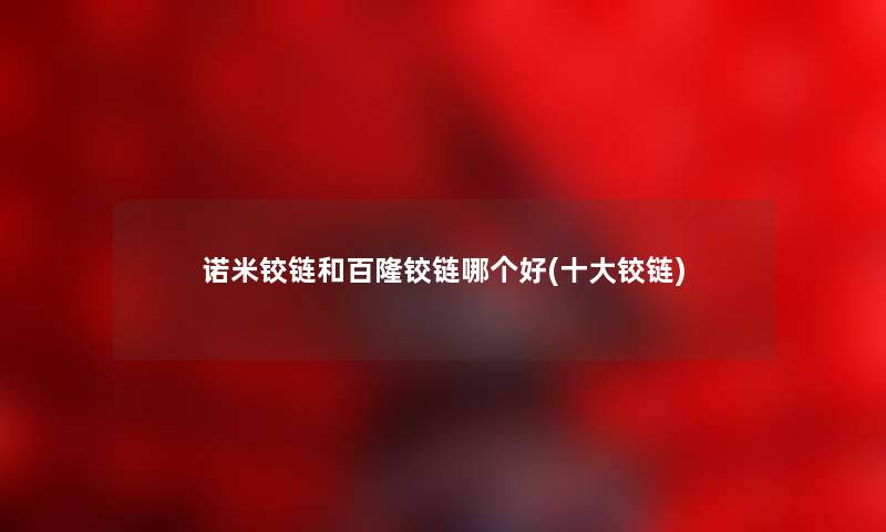 诺米铰链和百隆铰链哪个好(一些铰链)