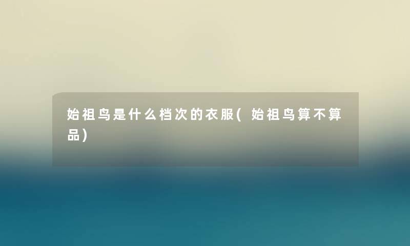 始祖鸟是什么档次的衣服(始祖鸟算不算品)
