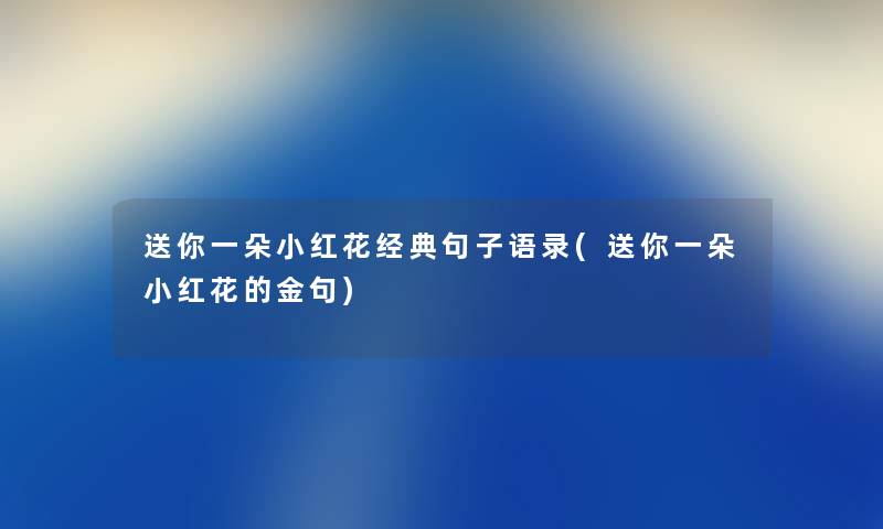 送你一朵小红花经典句子语录(送你一朵小红花的金句)
