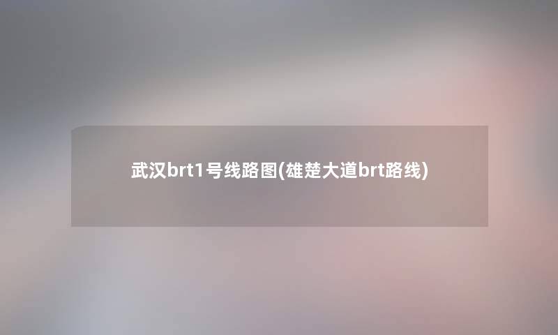 武汉brt1号线路图(雄楚大道brt路线) 武汉brt1号线路图(雄楚大道brt路线)