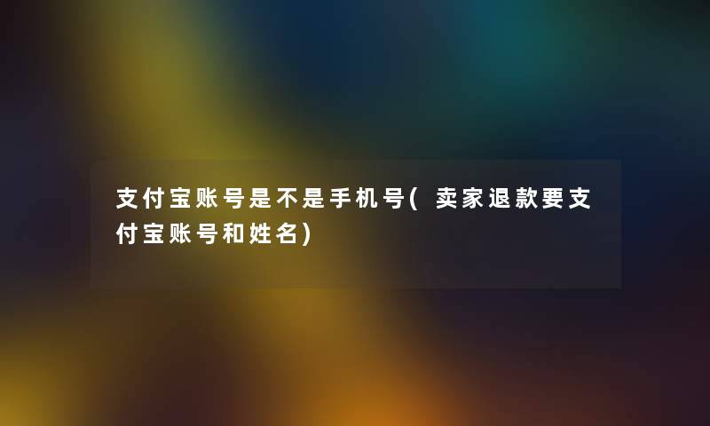 支付宝账号是不是手机号(卖家退款要支付宝账号和姓名)