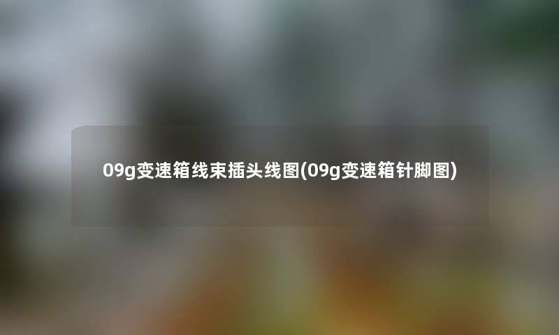 09g变速箱线束插头线图(09g变速箱针脚图) 09g变速箱线束插头线图(09g变速箱针脚图)