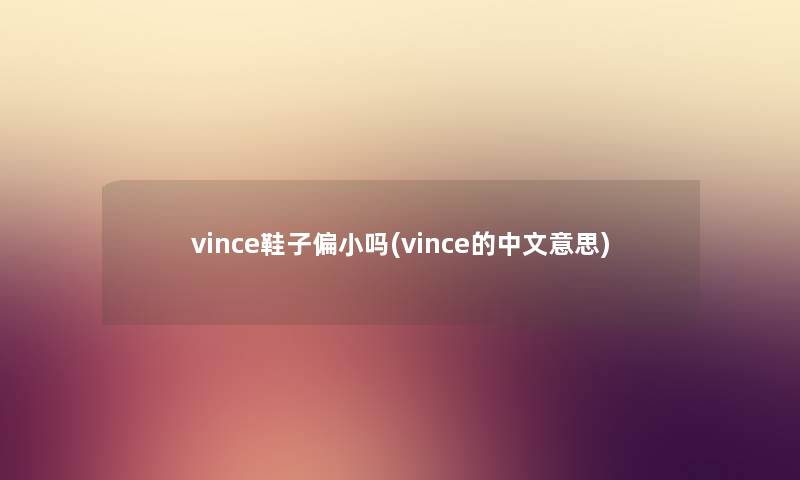 vince鞋子偏小吗(vince的中文意思)