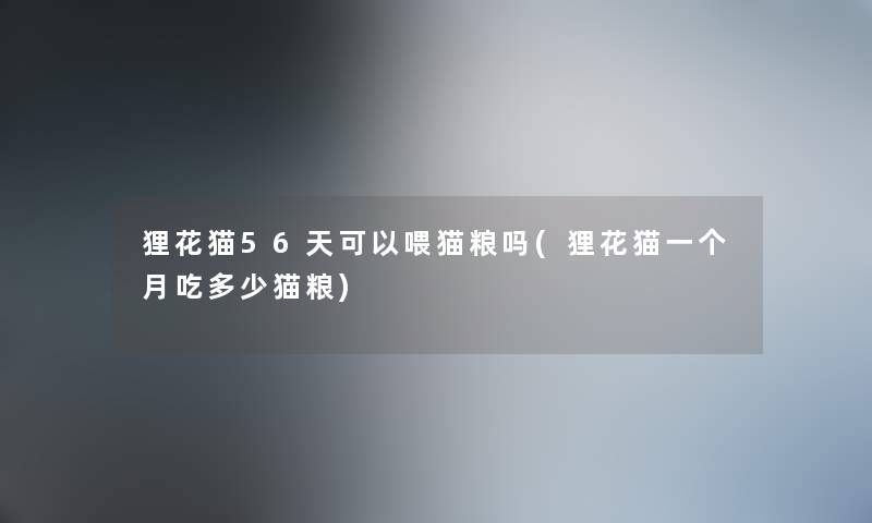 狸花猫56天可以喂猫粮吗(狸花猫一个月吃多少猫粮) 狸花猫56天可以喂猫粮吗(狸花猫一个月吃多少猫粮)