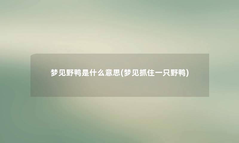 梦见野鸭是什么意思(梦见抓住一只野鸭)