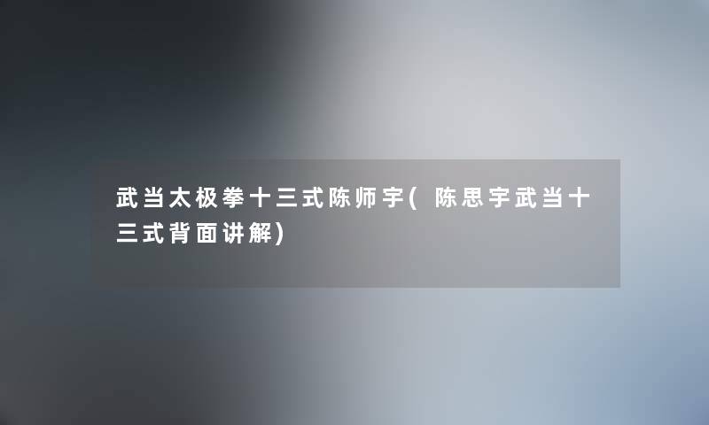 武当太极拳十三式陈师宇(陈思宇武当十三式背面讲解)