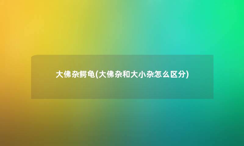 大佛杂鳄龟(大佛杂和大小杂怎么区分) 大佛杂鳄龟(大佛杂和大小杂怎么区分)