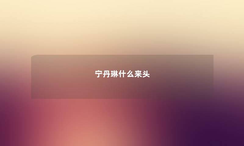 宁丹琳什么来头
