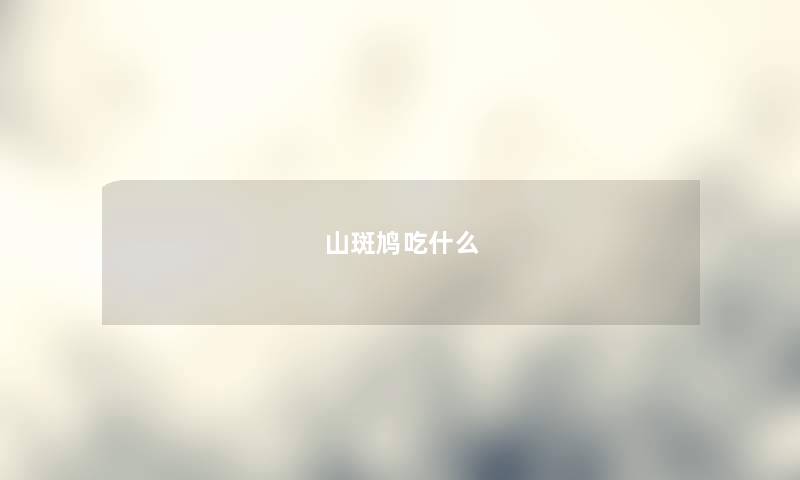 山斑鸠吃什么
