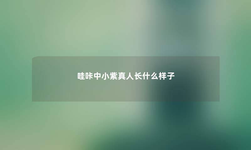 哇咔中小紫真人长什么样子