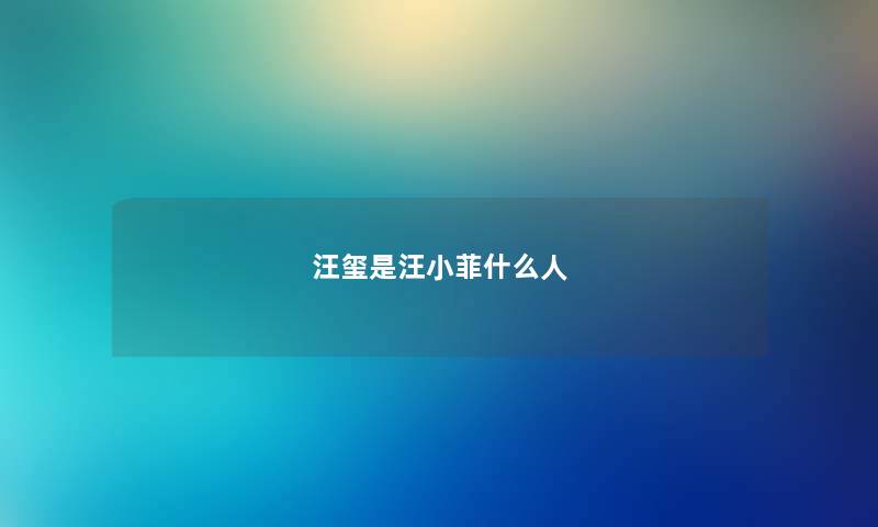 汪玺是汪小菲什么人