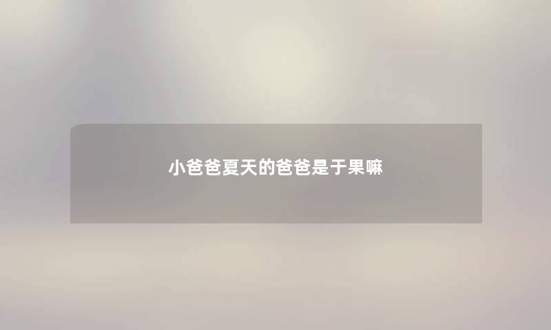 小爸爸夏天的爸爸是于果嘛